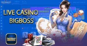 Live Casino Bigboss - Game cá cược trực tuyến hot nhất hiện nay